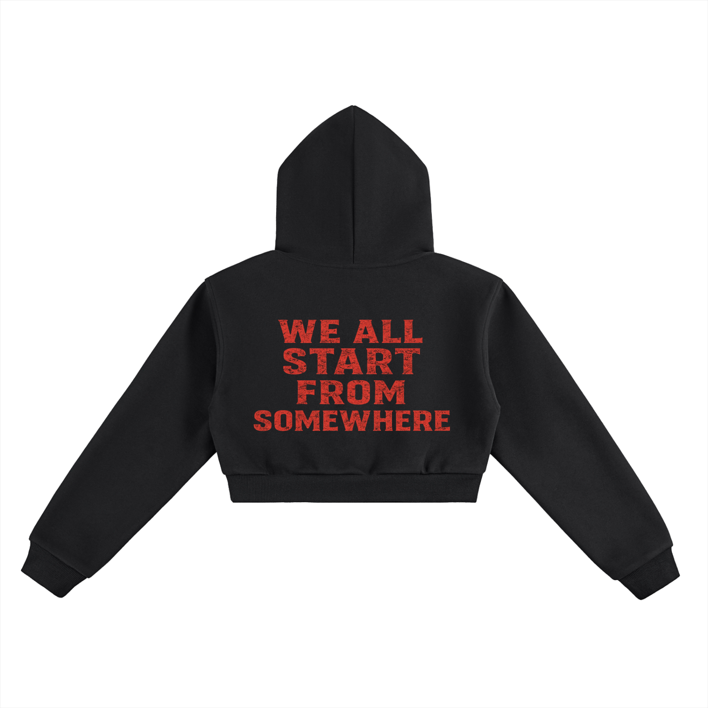 Start theory female crop hoodie